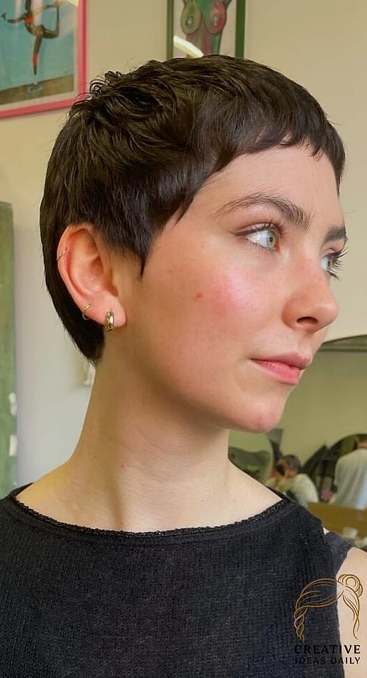 Micro Pixie