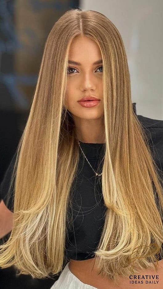 Sleek Straight Long Hair
