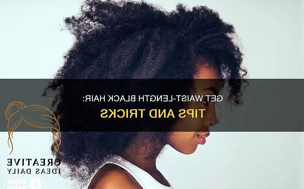 Waist-Length Box Braids
